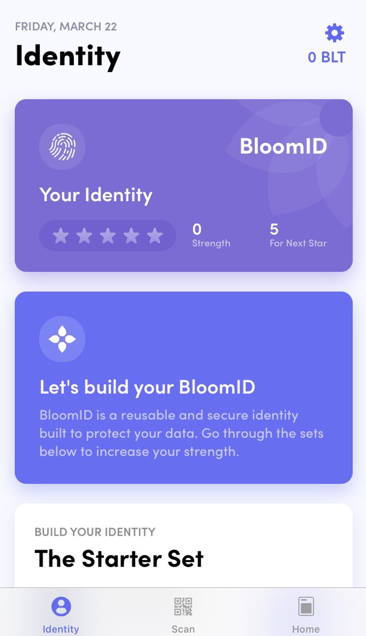 заполнение идентификационных данных в приложении Bloom