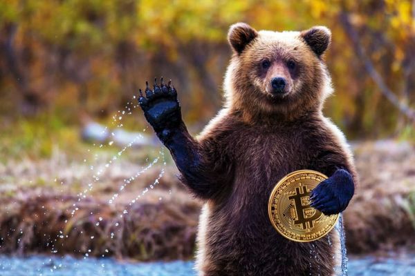 CEO Binance заявил, что медвежьи циклы полезны для крипторынка