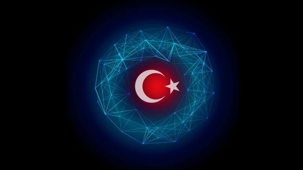 В Турции создадут государственный проект e-Human на блокчейне